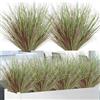 Betylifoy Piante Artificiali all'Aperto 20PCS Arbusti Artificiali Verdi Pianta di Erba di Grano Artificiale Steli di Verde Artificiale per Finestra Giardino Decorazione Esterna (20, Viola)
