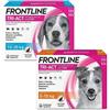 Frontline Triact, 6 Pipette, Cane S (5-10Kg), Antiparassitario per Cani e Cuccioli di Lunga Durata & Triact, 6 Pipette, Cane M (10-20Kg), Antiparassitario per Cani e Cuccioli di Lunga Durata
