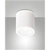 Fabas PACA PLAFONIERA 2 LUCI BIANCA D.9CM A LED 13W 3000K 848 + 486LM
