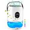 BuzzoXerex Deumidificatore Piccolo, 1L Deumidificatore Portatile Silenzioso, Mini Deumidificatore con Visualizzazione di Temperatura e Umidità, Sbrinamento Automatico per Casa Bagno Armadio