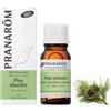 Herbalgem italia srl Pranarom Olio Essenziale BIO - Pino Silvestre - 10 ml