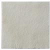 COLOPLAST Biatain alginate - 10 medicazioni in alginato 15x15