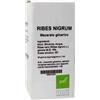 OTI Ribes Nigrum Mg10% Gocce 100 ml - Depurativo