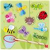 Jumbo Diset 53134 - Puzzle Insetti Magnetico
