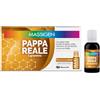 MARCO VITI FARMACEUTICI SpA MASSIGEN PAPPA REALE 10 FLACONI DA 25 ML