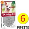 Elanco Dog Advantix Spot-On per Cani fino a 4 kg - Confezione Da 6 Pipette