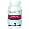 ERBA VITA GROUP SpA BOSWELIA SERRATA 60CPS 400MG EBV