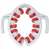 TESMED Cellulite Massaggiatere Manuale Anticellulite