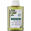 Klorane Shampoo all'Estratto Essenziale d'Oliva, 200 ml