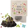 Ideenverlag HAMBURG 10x Buona Fortuna bombe di semi - regalino portafortuna & piccolo omaggio - bombe di fiori come pensierino per colleghi, ospiti & bambini - semi di fiori & sfere di fiori come dono speciale