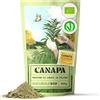 NaturaleBio Proteine di Canapa 500 g - Proteine Vegane per uno Stile di Vita Attivo - Proteine Vegetali in Polvere per Diete Keto, Senza Glutine o Senza Lattosio - Da Semi di Canapa Bio Certificati