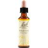 Fiori di bach Schwabe Fiori di Bach 35 Wild Oat Gocce 20 ml