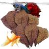 Generic Betta Shrimp Leaves - Catappa Indian Almond Leaves | Condizionatore per acquari con pH Balance, per acquari, vasche per tartarughe, gamberetti, pesci gatto, per habitat di rane, foglia acqua