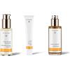 Wala Italia Srl Dr. Hauschka Crema Detergente + Lozione Tonificante Fluido Attivante per il Giorno 1 pz Set