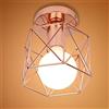 PETITES ECREVISSES Plafoniera in Metallo E27 Industriale DIY Vintage Lampadario Paralume Retro Sospensione Gabbia Loft, Oro Rosa