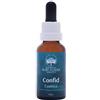 Australian Bush Flower Essences Australian Bush Flowers Le essenze dei fiori del cespuglio australiano confidano le gocce
