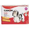 Camon 12 Pannolini Mutandina Taglia XXL Per Cani Femmina