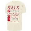 NIKE T-SHIRT MAX 90 BULLS