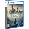 Warner Bros 12958780 HOGWARTS LEGACY (1000818851)