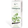 GINKGOVIR MACERATO CAIRA GOCCE