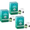 English Tea Shop | Infuso BIO Mirtillo Rosso Ibisco Rosa Canina - 3 x 20 Filtri in Eco Box (105 Gr) | Tisana Base Frutta con Citronella e Zenzero Senza Caffeina