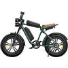 Fafrees Bicicletta Elettrica,Batteria Rimovibile 48V 26AH/13AH, Autonomia 75/150 km, Pneumatici Larghi 20x4,0,Doppia Sospensione,Ideale Per Adulti e Multi-Terreno.ENGWE M20 (Batteria singola, Bianco)