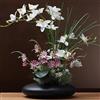SYDDOL INSPIRED SYDDOL - Orchidea artificiale da 17 pollici Phalaenopsis, bonsai in vaso di ceramica, fiore finto zen, fiore di orchidea di seta, decorazione per la casa, matrimonio, festa, festa della mamma, fiori