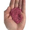 Generico Ghiaia Decorativa per Marimo, Quarzo Ceramizzato Colorato per Vasi, Acquari e Terrari - Inerte, Non Tossico, (Arlecchino, Bianco, Blu, Nero, Rosa, Verde, Viola, Rosso, Giallo) (Rosa, 1 kg)