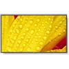 NEC MultiSync M551-2 Design chiosco 127 cm (50") LED 4K Ultra HD Nero Processore integrato