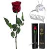 Yamonic Rosa Stabilizzata Regalo Mamma, Vera Rosa Eterna con Collana Mom,Regalo Compleanno Mamma, Rosa Eterna Stabilizzata con Steli,Regali Donna Natale San Valentino