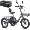 Fafrees Triciclo Elettrica F20 Mate Bici Elettrica Pieghevole a 3 Ruote 48V23Ah Batteria Rimovibile,Autonomia 65-115km,Ebike Adulti Uomo Donna,Freni a disco idraulici,con Borsetta,Grigio,Cestino Ante-