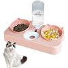 BAYINBROOK Doppia ciotola per animali domestici,3 in 1Doppio Ciotole per Gatti,Distributori Automatici di Cibo & Acqua,Set di Ciotole Doppie per Cani di Taglia Piccola o Media (rosa)