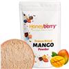 Honeyberry Polvere di Mango Liofilizzato 100g - Frutta Liofilizzata in Polvere - Mango Disidratato in Polvere per Frullati, Yogurt e Dolci - Polvere di Frutta Disidratata Naturale e Senza Additivi