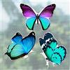 Fiada 6 Pezzi di Adesivi Magnetici a Farfalla per Porte a Zanzariera a Doppio Lato Magneti Flessibili Decorativi Multicolori per Magnetica Frigorifero e Porte Scorrevoli (Blu Verde, Stile Volante)