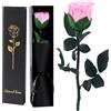FRFG Vera Rosa Eterna Regalo Donna, Stabilizzata Vera Rosa con Steli Idee Regalo per Anniversario, Mamma, Donna Compleanno, San Valentino per Donne (Rosa)