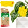 Super Ninja Antimoscerini per funghi, confezione da 10, efficace insetticida per piante da interno, atossico e rispettoso della natura, sicuro per bambini e animali domestici, trappole adesive gialle