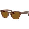 ray ban stories Occhiali da Sole Ray-Ban Wearable RW4010 SKYLER 670683 Caramello