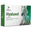 EQUALITY Srl HYALUSOL 10 FLACONI MONODOSE DA 8 ML