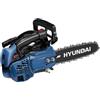 Hyundai MOTOSEGA A SCOPPIO DA POTATURA HYUNDAI SUPERLEGGERA BARRA 25 CM 25 CC