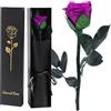 FRFG Vera Rosa Eterna Regalo Donna, Stabilizzata Vera Rosa con Steli Idee Regalo per Anniversario, Mamma, Donna Compleanno, San Valentino per Donne (Viola)