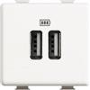 Bticino Matix AM5285C2 - Caricatore USB Doppio Tipo C + C 1 Modulo Bianco