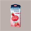 DOLFIN 12 x 100 Ml Granita Siciliana al Gusto Fragola Senso Freddo Pronta da Gelare Dolfin (6 astucci da 2)