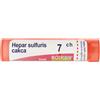 Boiron Hepar Sulfuris Calcareum 7ch 80 Granuli Contenitore Multidose