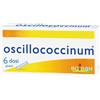 BOIRON Srl OSCILLOCOCCINUM 200K 6 Dosi