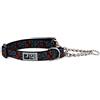 RC Pet Products RC Pets Martingale Collare da addestramento, 2,5 cm, taglia M, motivo ossa