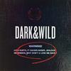 UNIVERSAL MUSIC GROUP BTS, Dark & Wild