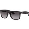Ray-Ban Justin RB 4165 (601/8G)