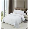 NORA HOME Piumino Quattro 4 Stagioni Letto Singolo 155x220 - Piumone Primavera Estate Autunnale Invernale 155 x 220 - Trapunta 220 x 155. Microfibra Sintetica Caldo Morbido Bianco - ANETO