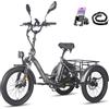 Fafrees F20 Mate E-Bike Triciclo, 20 * 3.0 Triciclo Elettrico Pieghevole Per Adulti Anziani, Batteria Da 48 V/18,2 Ah, Triciclo Elettrico Da Carico, Autonomia 110 KM (Grigio)