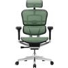 PROCOMFORT ERGOHUMAN Elite Evolution Poltrona ergonomica su Ruote di Ultima Generazione con regolazioni avanzate per Il settaggio della Postura più Confortevole (Verde)